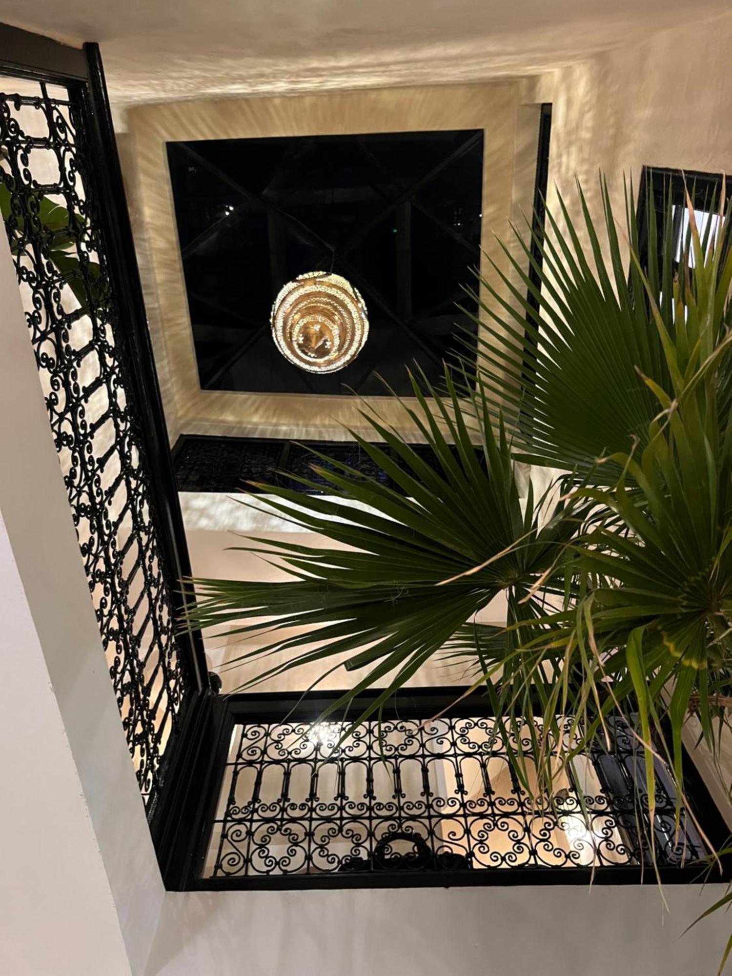 فيلة Le Saaliya *