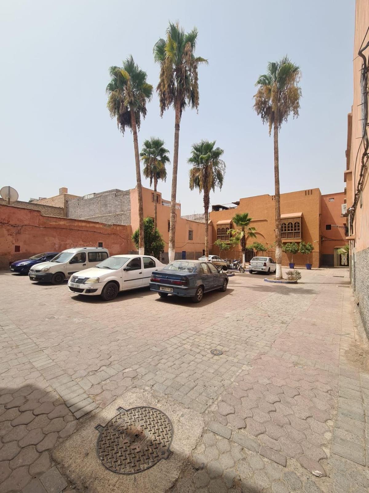 Le Saaliya فيلة